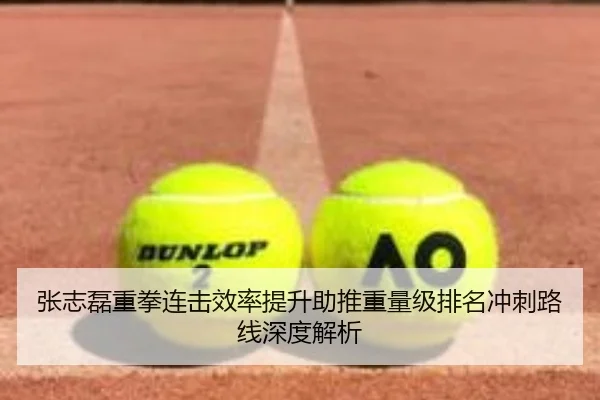 张志磊重拳连击效率提升助推重量级排名冲刺路线深度解析
